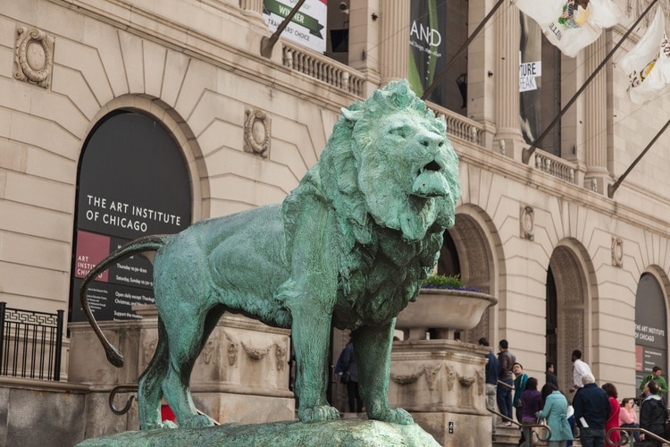 Lion north photo by johnny knight